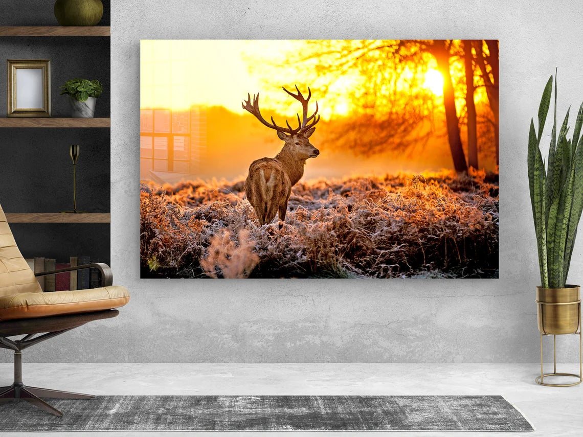 Deer on Forest Sunset UV Direct Aluminum Print Australian Made Quality