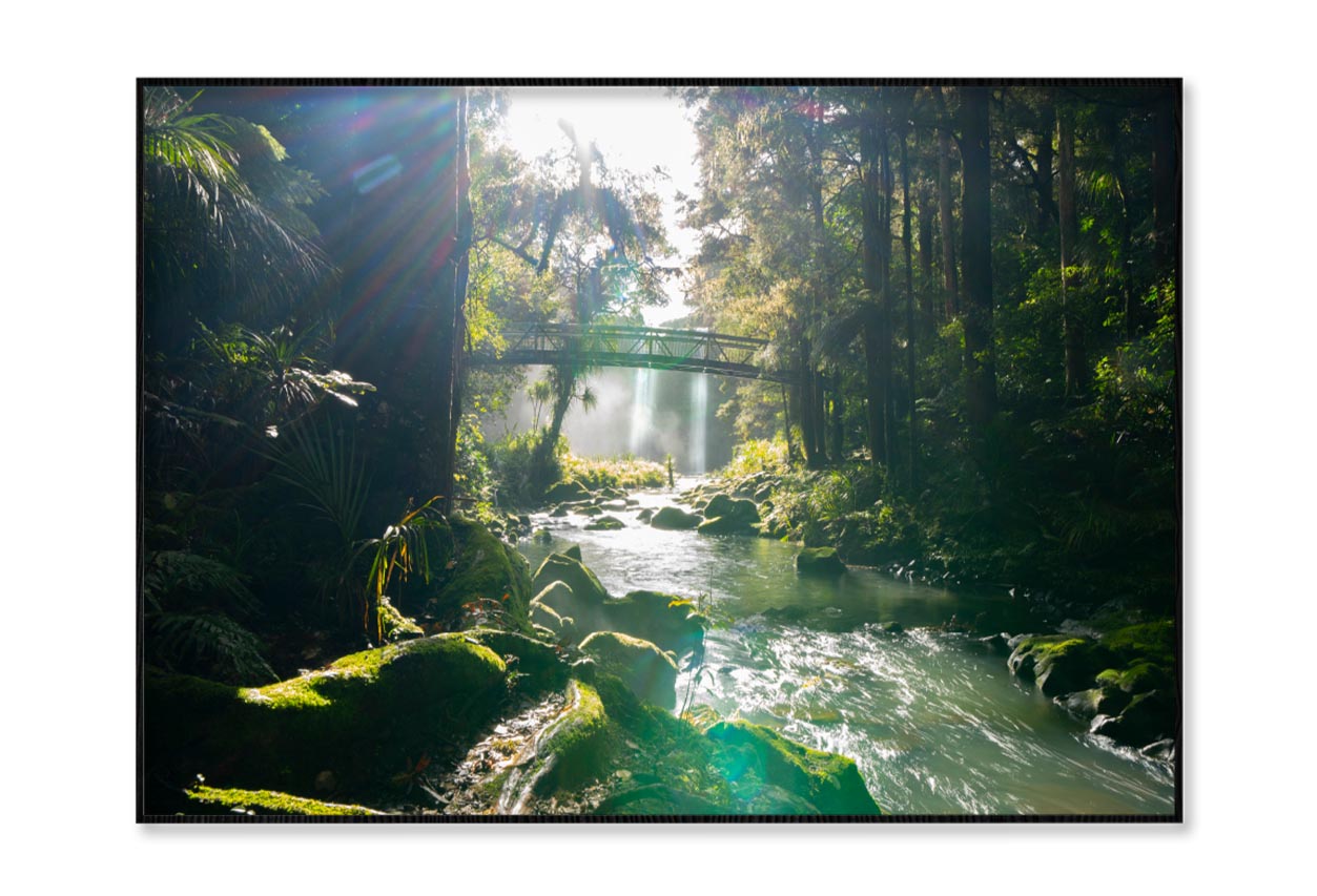 Misty Dark Dense Bush Lining Hatea River and Whangarei Fall Home Decor Premium Quality Poster Print Choose Your Sizes