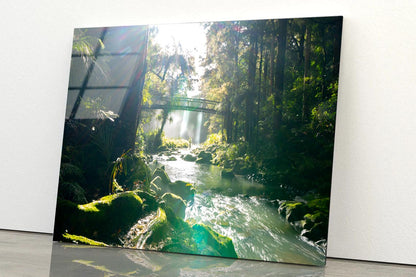 Misty Dark Dense Bush Lining Hatea River and Whangarei Fall Acrylic Glass Print Tempered Glass Wall Art 100% Made in Australia Ready to Hang