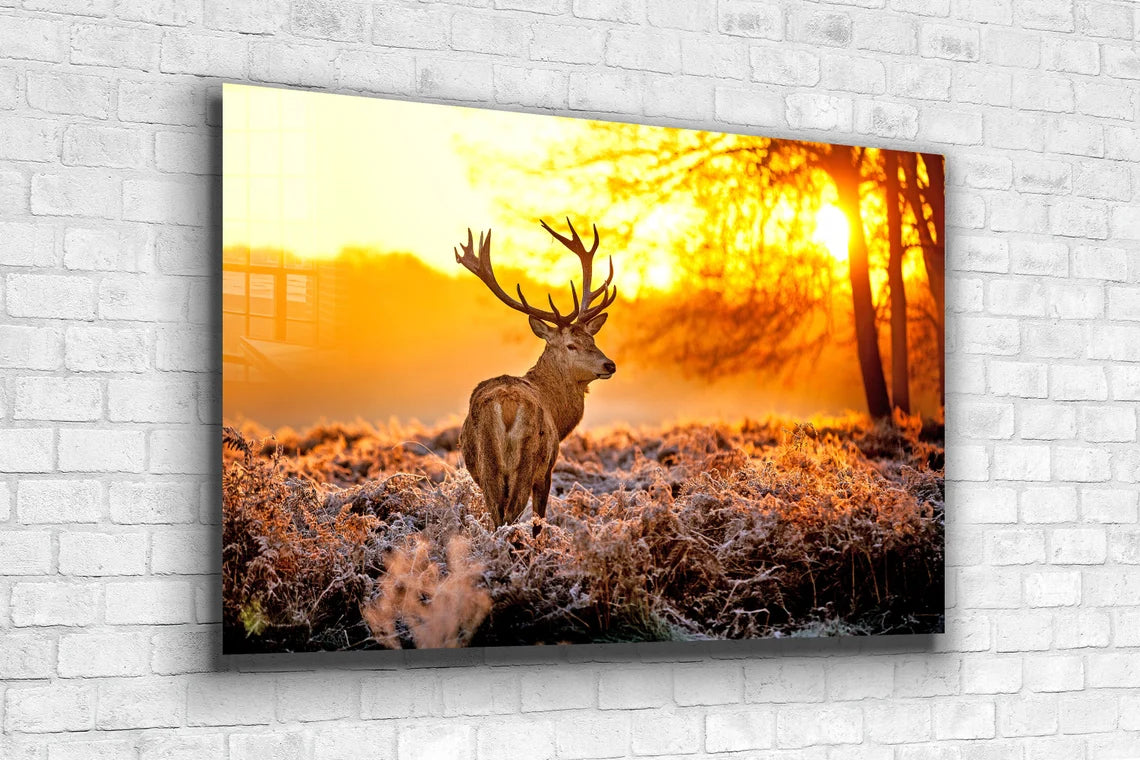 Deer on Forest Sunset UV Direct Aluminum Print Australian Made Quality