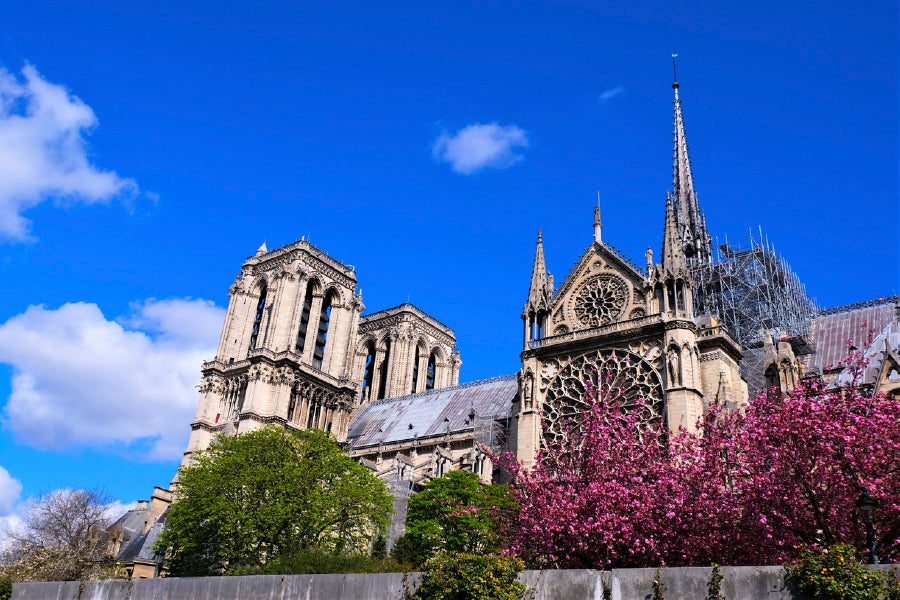 Cathedrale Notre-Dame In Paris Glass Framed Wall Art, Ready to Hang Quality Print