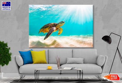 Turtle Swimming in The Ocean with Sun Shining Wall Art Decor 100% Australian Made