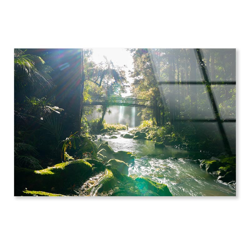 Misty Dark Dense Bush Lining Hatea River and Whangarei Fall Acrylic Glass Print Tempered Glass Wall Art 100% Made in Australia Ready to Hang