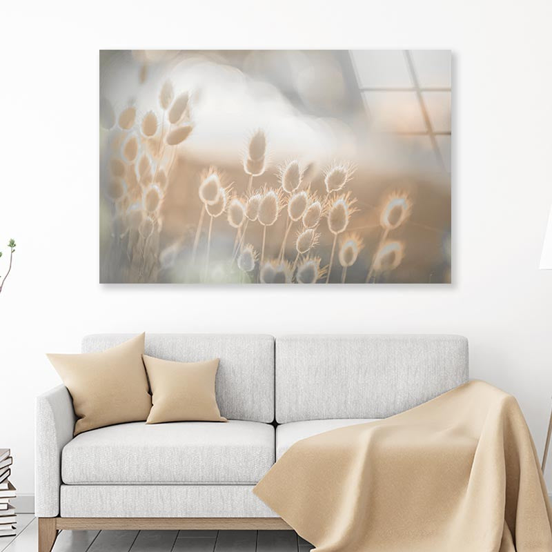 Sunny Meadow Faded Acrylic Glass Print Tempered Glass Wall Art 100% Made in Australia Ready to Hang