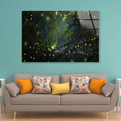 Group of Fireflies on Tree Branch Acrylic Glass Print Tempered Glass Wall Art 100% Made in Australia Ready to Hang