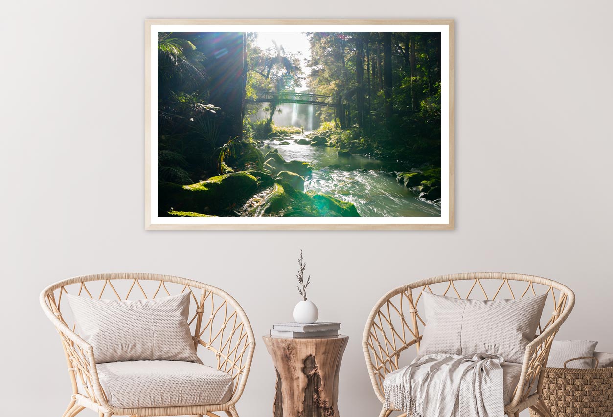 Misty Dark Dense Bush Lining Hatea River and Whangarei Fall Home Decor Premium Quality Poster Print Choose Your Sizes