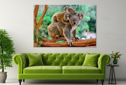 Mother koala with baby on tree Wall Art Decor 100% Australian Made