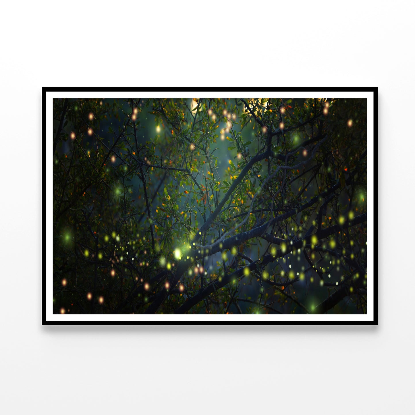 Group of Fireflies on Tree Branch Home Decor Premium Quality Poster Print Choose Your Sizes