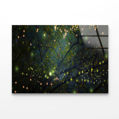 Group of Fireflies on Tree Branch Acrylic Glass Print Tempered Glass Wall Art 100% Made in Australia Ready to Hang