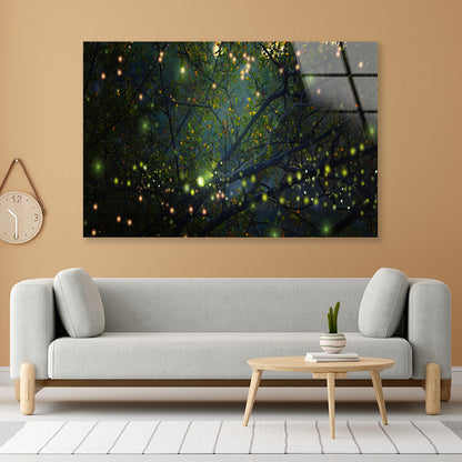 Group of Fireflies on Tree Branch Acrylic Glass Print Tempered Glass Wall Art 100% Made in Australia Ready to Hang