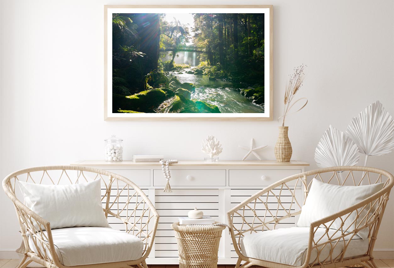 Misty Dark Dense Bush Lining Hatea River and Whangarei Fall Home Decor Premium Quality Poster Print Choose Your Sizes