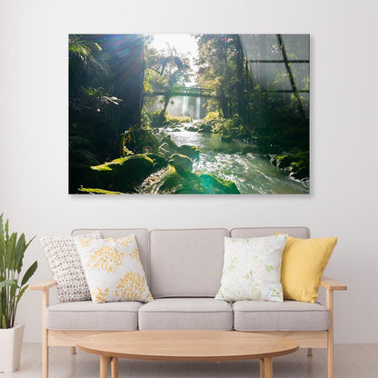 Misty Dark Dense Bush Lining Hatea River and Whangarei Fall Acrylic Glass Print Tempered Glass Wall Art 100% Made in Australia Ready to Hang