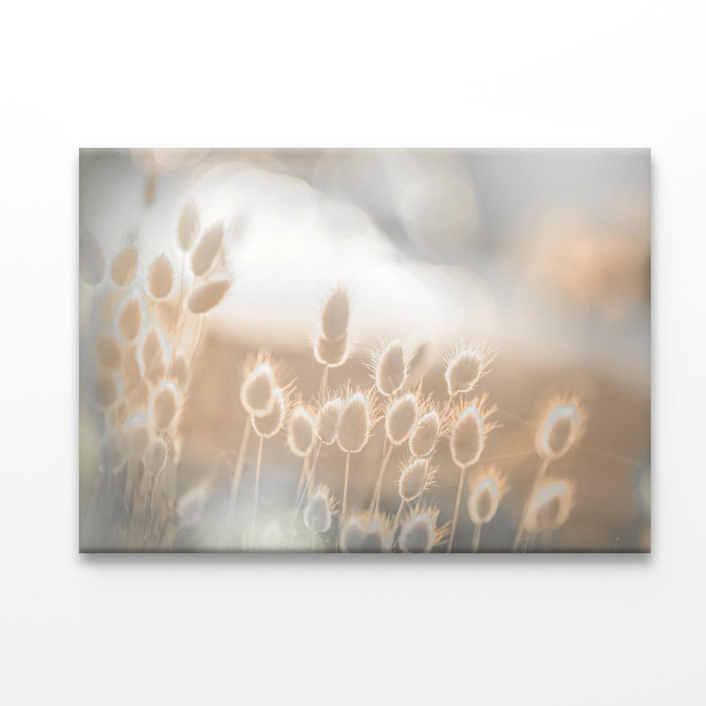 Sunny Meadow Faded Acrylic Glass Print Tempered Glass Wall Art 100% Made in Australia Ready to Hang