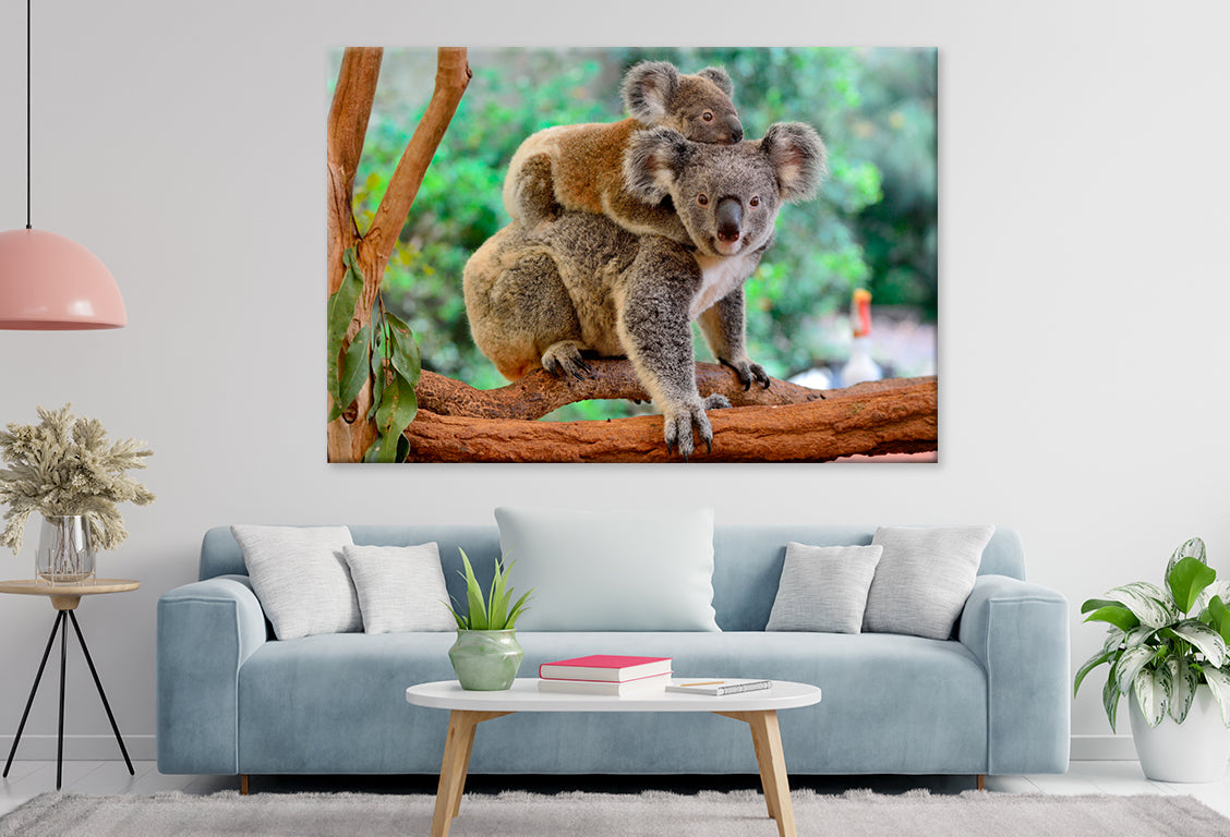 Mother koala with baby on tree Wall Art Decor 100% Australian Made