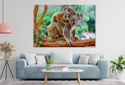Mother koala with baby on tree Wall Art Decor 100% Australian Made