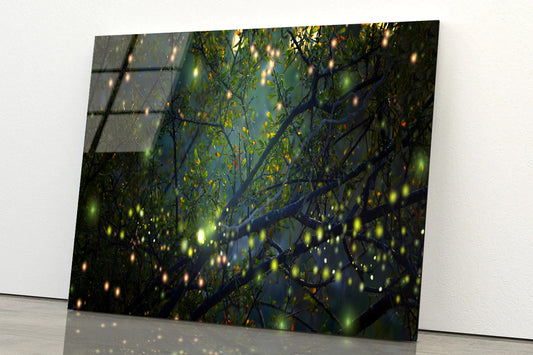 Group of Fireflies on Tree Branch Acrylic Glass Print Tempered Glass Wall Art 100% Made in Australia Ready to Hang