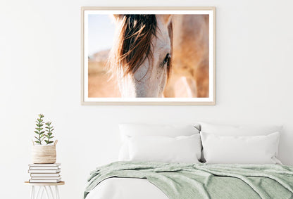 Close Up of a Horse's Head with A Sky Background Home Decor Premium Quality Poster Print Choose Your Sizes