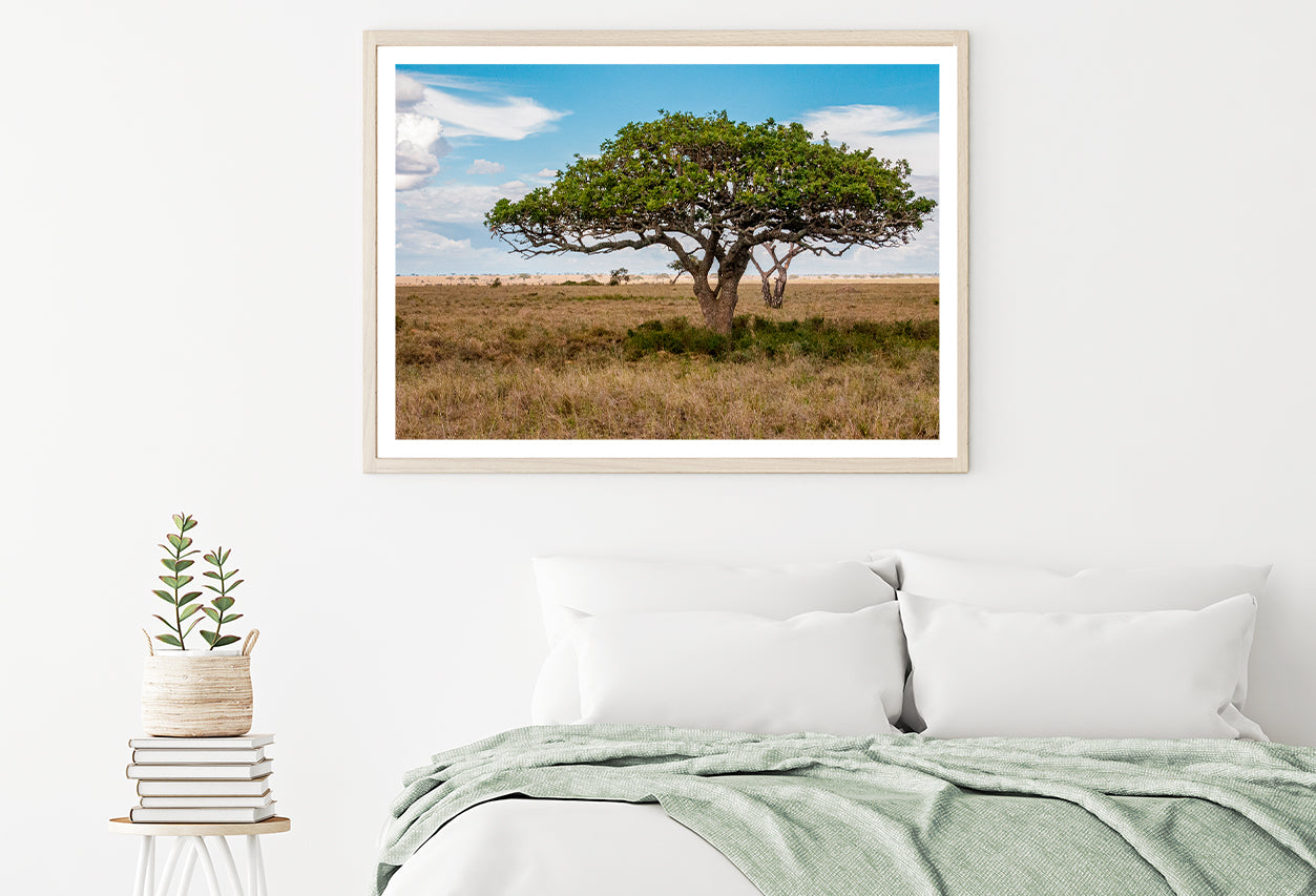 Hills and Trees under a Cloudy Sky in Cyprus Home Decor Premium Quality Poster Print Choose Your Sizes