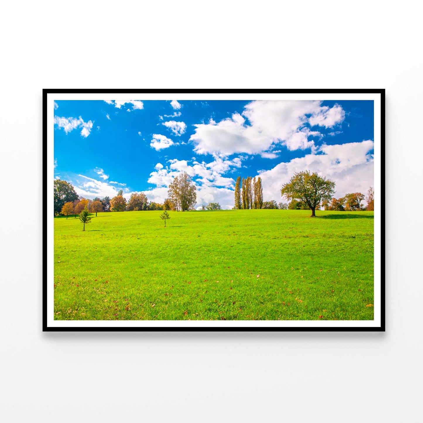 Green Field and Blue Sky Home Decor Premium Quality Poster Print Choose Your Sizes