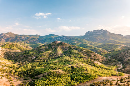 Hills and Trees under a Cloudy Sky in Cyprus Home Decor Premium Quality Poster Print Choose Your Sizes