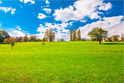 Green Field and Blue Sky Home Decor Premium Quality Poster Print Choose Your Sizes