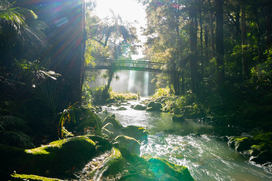 Misty Dark Dense Bush Lining Hatea River and Whangarei Fall Acrylic Glass Print Tempered Glass Wall Art 100% Made in Australia Ready to Hang