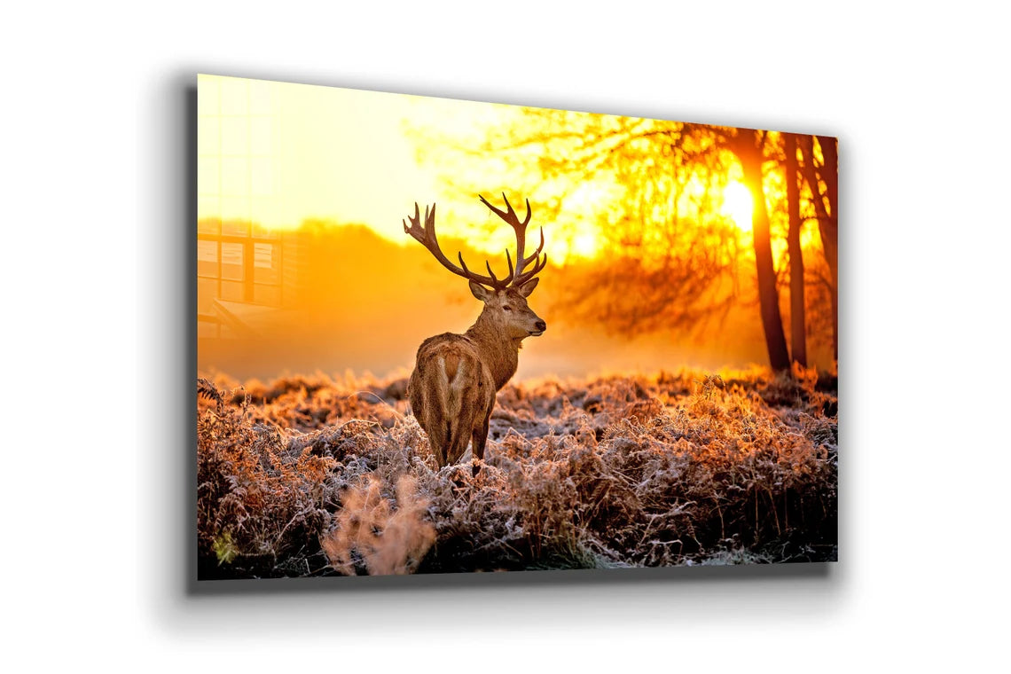 Deer on Forest Sunset UV Direct Aluminum Print Australian Made Quality