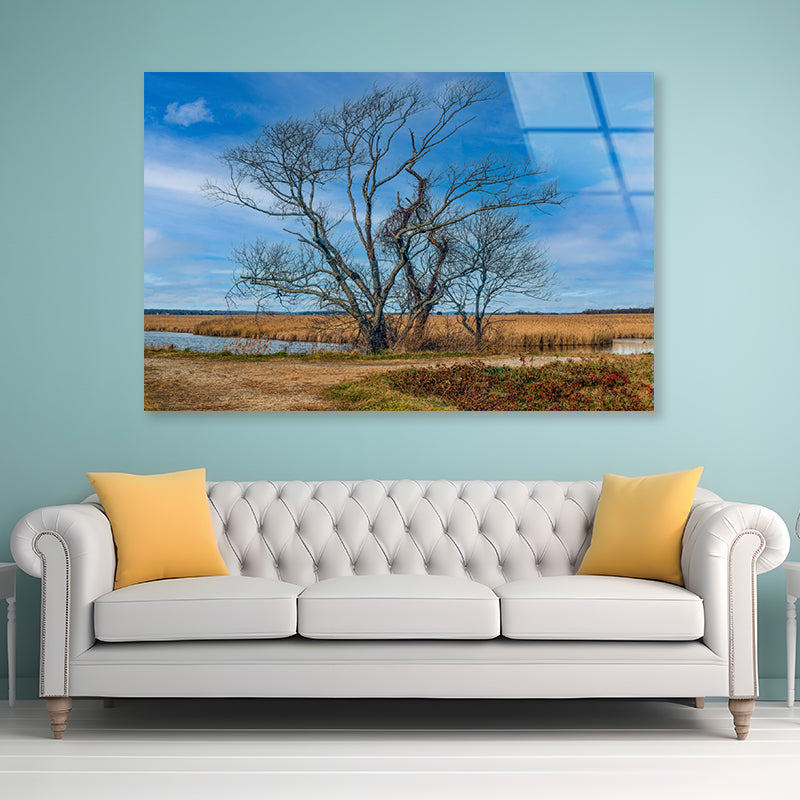 A Couple of Trees Grows In a Field Acrylic Glass Print Tempered Glass Wall Art 100% Made in Australia Ready to Hang