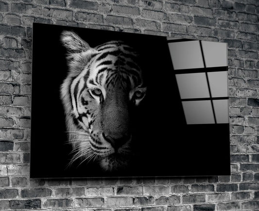 Tiger Monochrome B&W UV Direct Aluminum Print Australian Made Quality