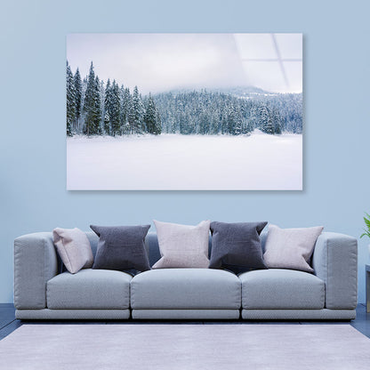 Coniferous Forest on Snow Acrylic Glass Print Tempered Glass Wall Art 100% Made in Australia Ready to Hang