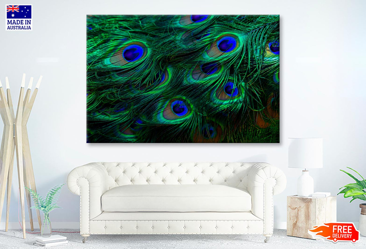 Beautiful Peacock's Feathers Closeup  Wall Art Decor 100% Australian Made