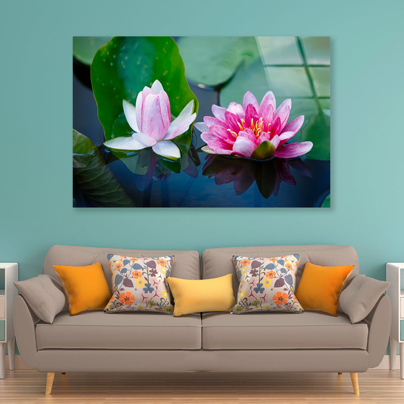 A Group of Pink Flowers Blooming On a Lily Pad Acrylic Glass Print Tempered Glass Wall Art 100% Made in Australia Ready to Hang