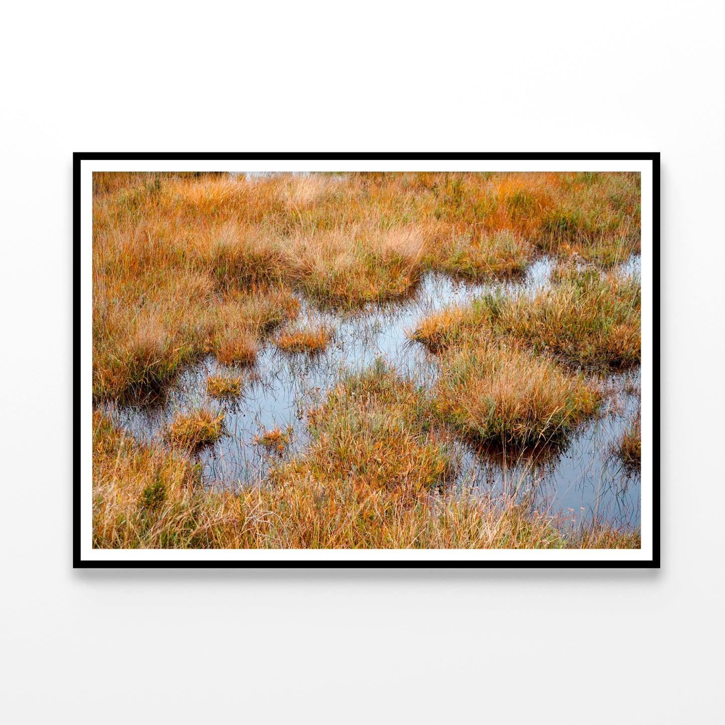 Waterlogged Grassland in the summer Home Decor Premium Quality Poster Print Choose Your Sizes