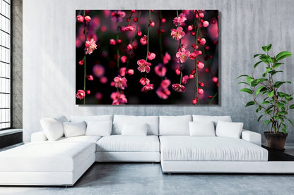 Cherry Blossom Flower Acrylic Glass Print Tempered Glass Wall Art 100% Made in Australia Ready to Hang