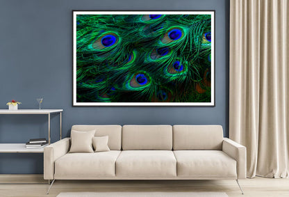 Close Up of a Peacock's Feathers with Blue Eyes Home Decor Premium Quality Poster Print Choose Your Sizes