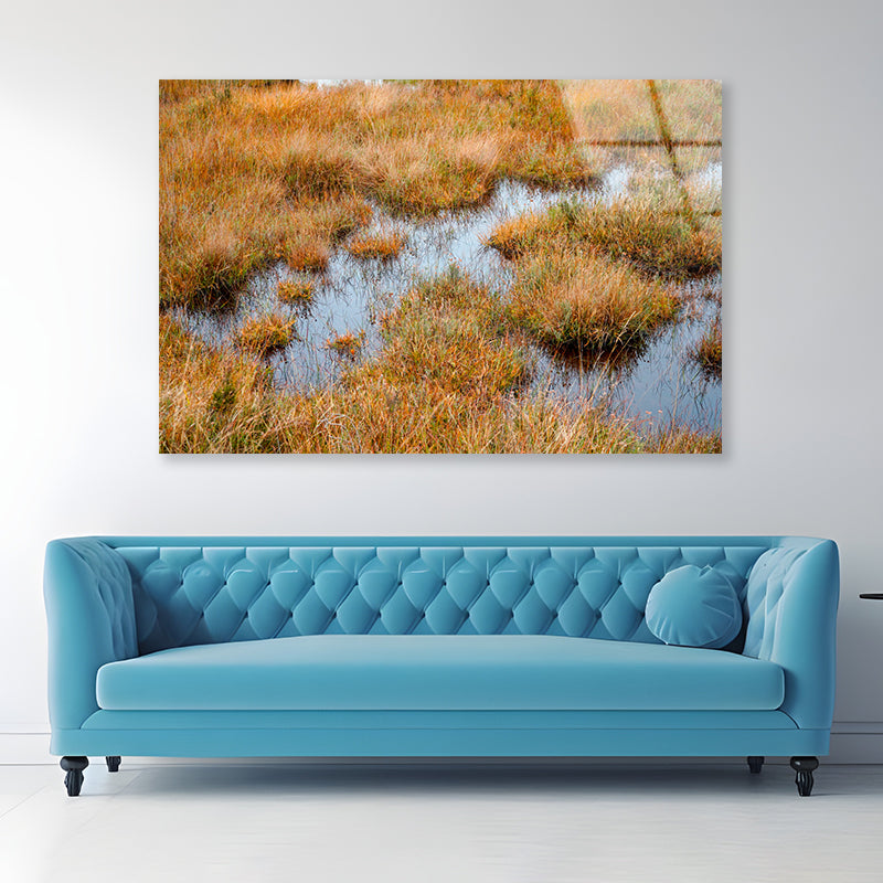 Waterlogged Grassland in the summer Acrylic Glass Print Tempered Glass Wall Art 100% Made in Australia Ready to Hang