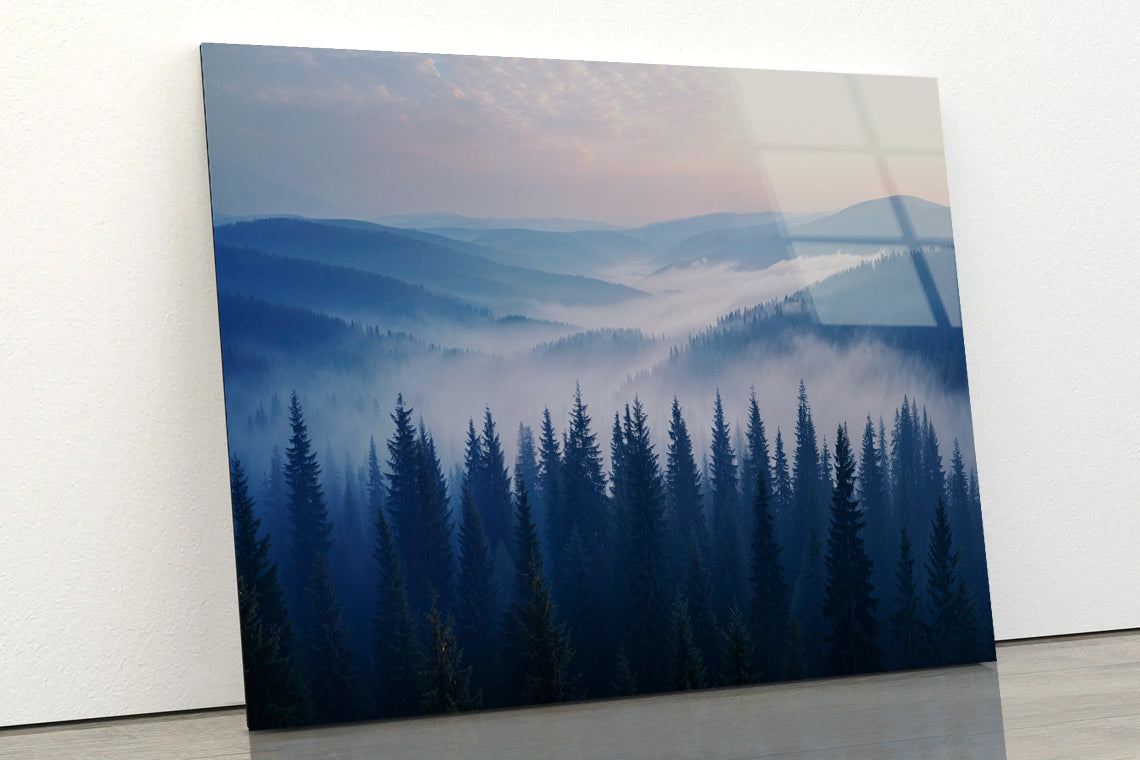 Pine Trees Forest with Mountains Acrylic Glass Print Tempered Glass Wall Art 100% Made in Australia Ready to Hang