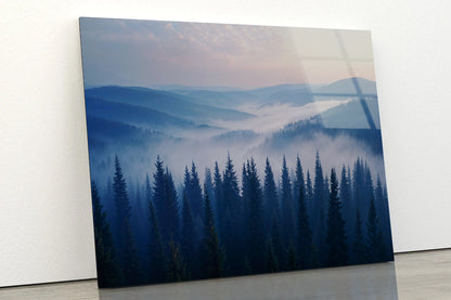 Pine Trees Forest with Mountains Acrylic Glass Print Tempered Glass Wall Art 100% Made in Australia Ready to Hang