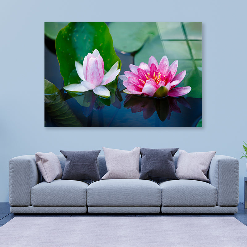 A Group of Pink Flowers Blooming On a Lily Pad Acrylic Glass Print Tempered Glass Wall Art 100% Made in Australia Ready to Hang