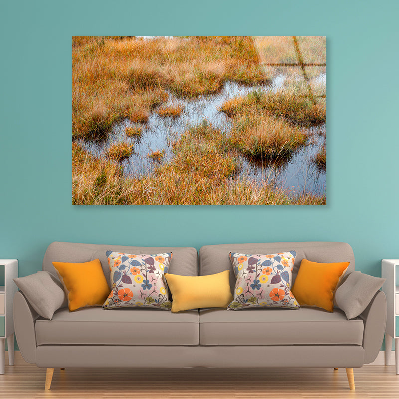 Waterlogged Grassland in the summer Acrylic Glass Print Tempered Glass Wall Art 100% Made in Australia Ready to Hang