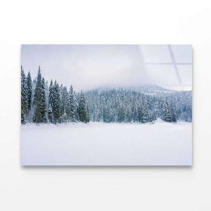 Coniferous Forest on Snow Acrylic Glass Print Tempered Glass Wall Art 100% Made in Australia Ready to Hang