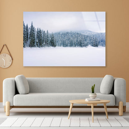 Coniferous Forest on Snow Acrylic Glass Print Tempered Glass Wall Art 100% Made in Australia Ready to Hang