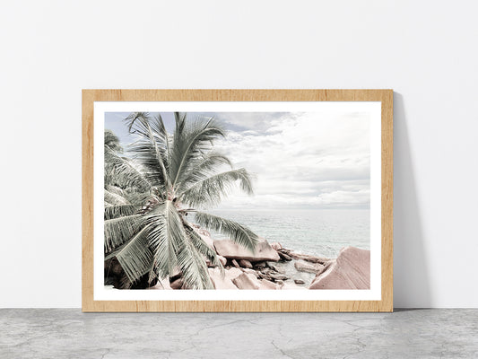 Palm Tree & Rocks near Sea View Photograph Glass Framed Wall Art, Ready to Hang Quality Print With White Border Oak