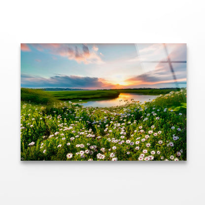 Summer Spring Natural With Lake & Wildflowers at Sunset Acrylic Glass Print Tempered Glass Wall Art 100% Made in Australia Ready to Hang