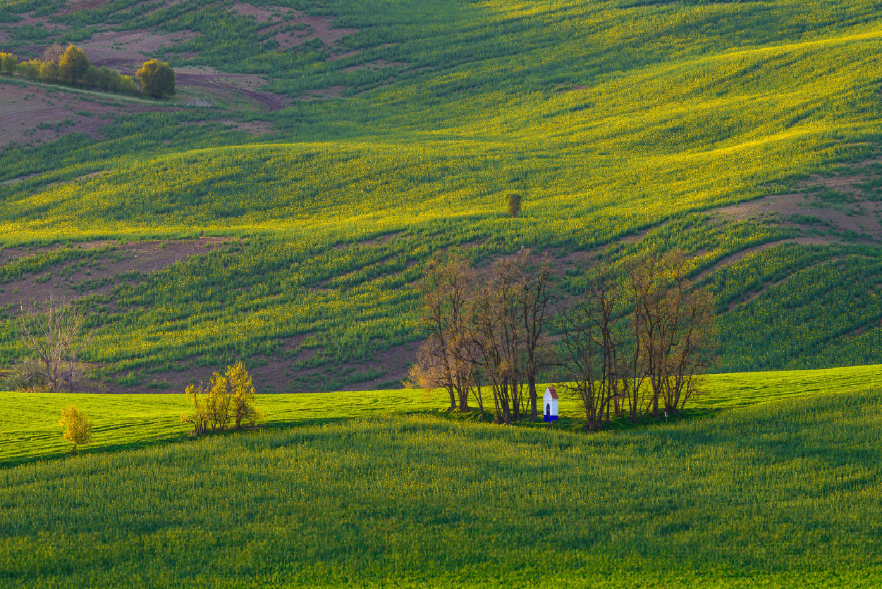 Person Sitting In a Meadow Home Decor Premium Quality Poster Print Choose Your Sizes