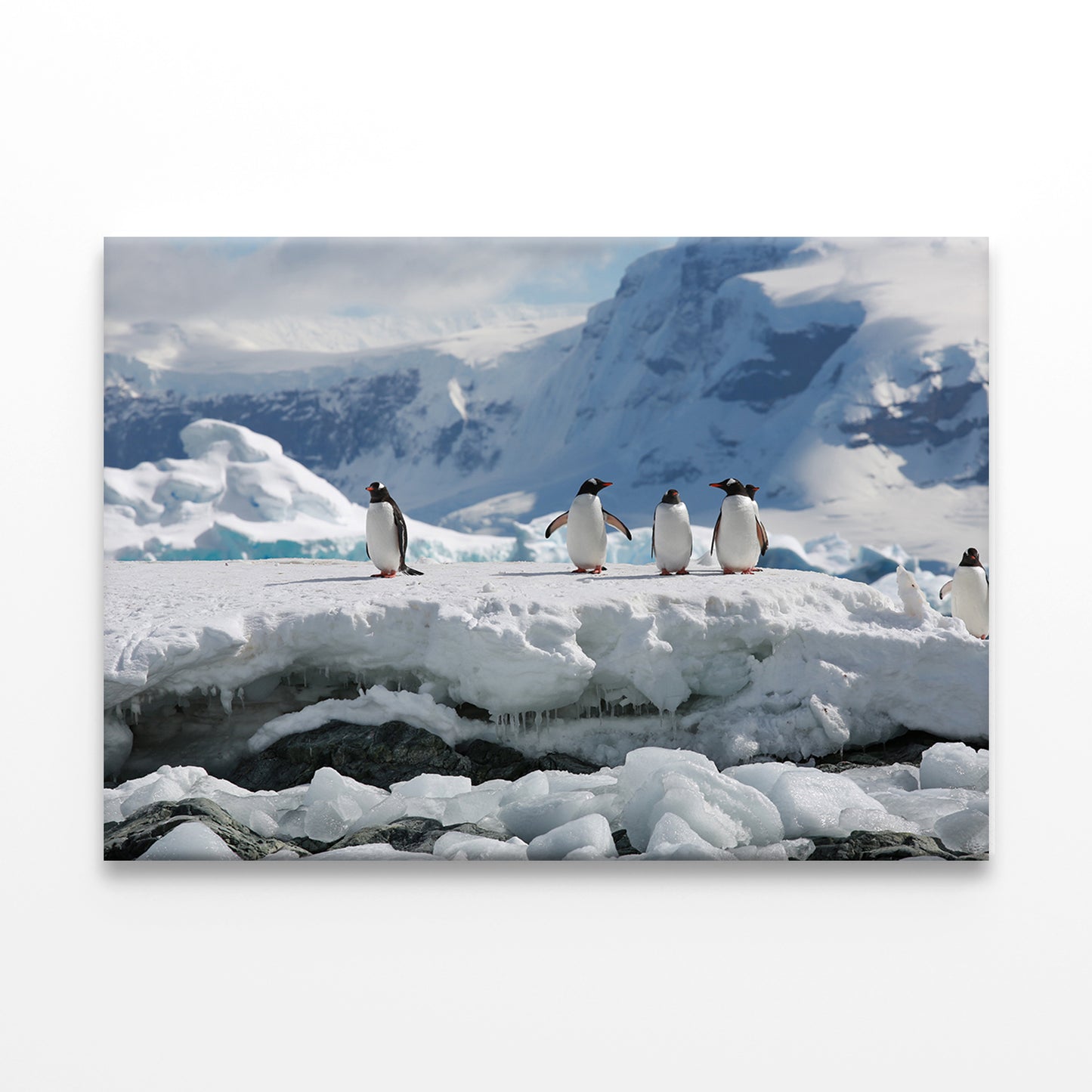 Antarctica Penguin Expedition  Wall Art Decor 100% Australian Made