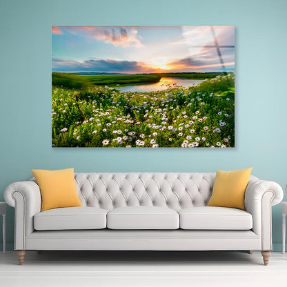 Summer Spring Natural With Lake & Wildflowers at Sunset Acrylic Glass Print Tempered Glass Wall Art 100% Made in Australia Ready to Hang