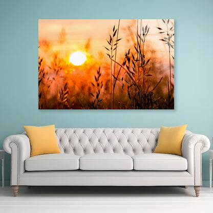 Close Up View of Red Sunrise Field Acrylic Glass Print Tempered Glass Wall Art 100% Made in Australia Ready to Hang