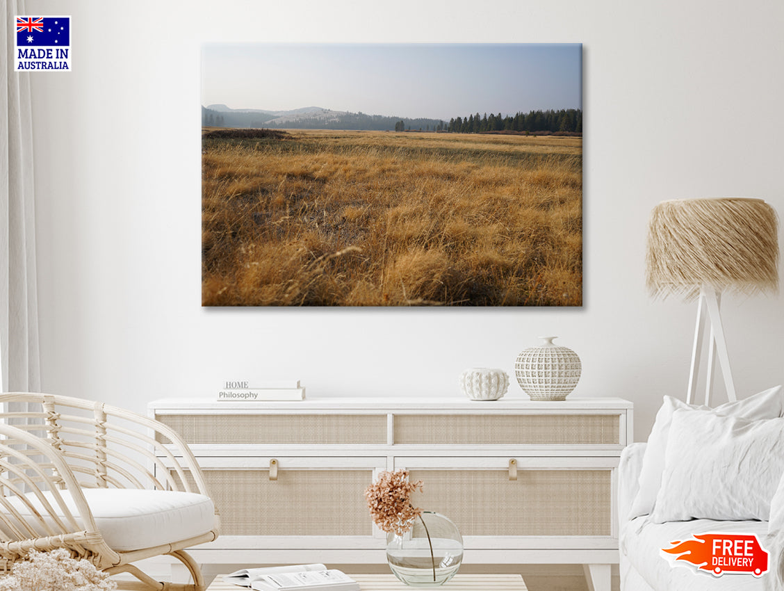 A Field Of Brown Grass with Trees in autumn Print 100% Australian Made