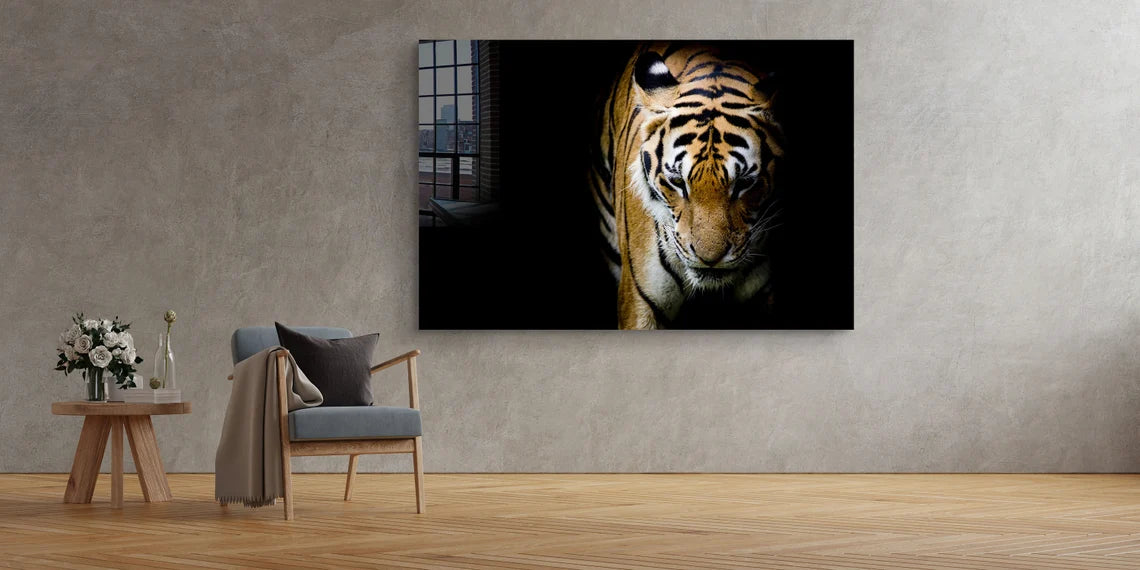 Tiger on Dark View UV Direct Aluminum Print Australian Made Quality